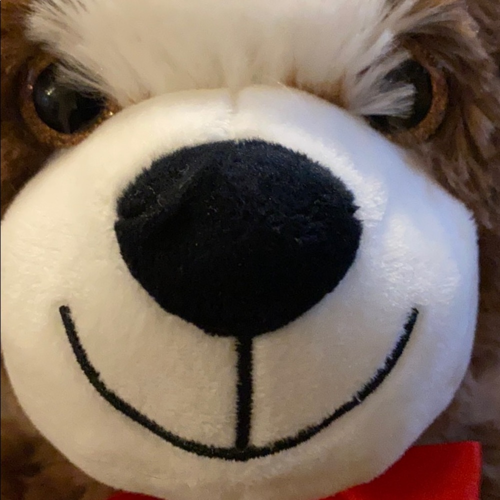 Meet your Posher, Rafiq